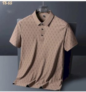 Premium Quality Half Sleeve China polo Shirt - TS65
